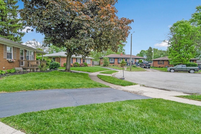 3233 Burdett Ct, Columbus, OH 43232 - view of grassy yard featuring a residential view and driveway