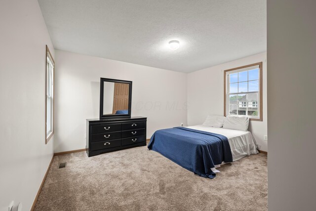 1608 Geranium Dr, Lewis Center, OH 43035 - bedroom featuring carpet, baseboards, and a textured ceiling