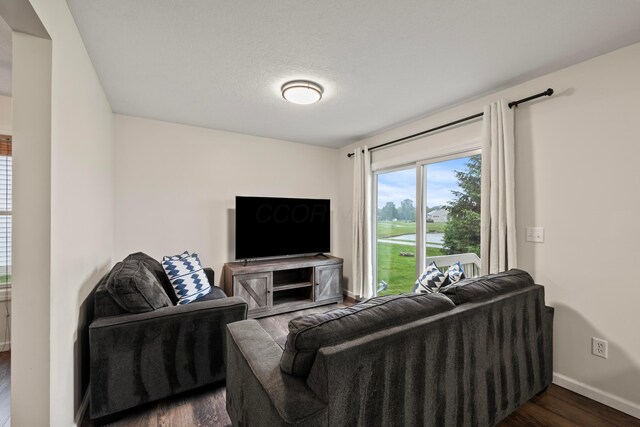 1608 Geranium Dr, Lewis Center, OH 43035 - living area featuring dark wood finished floors and baseboards