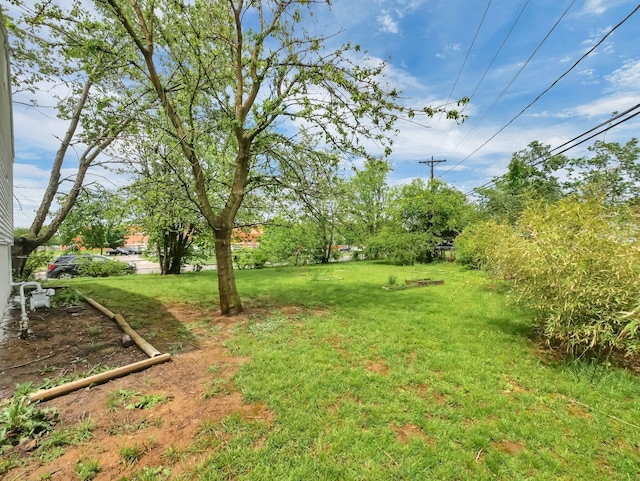 view of green lawn