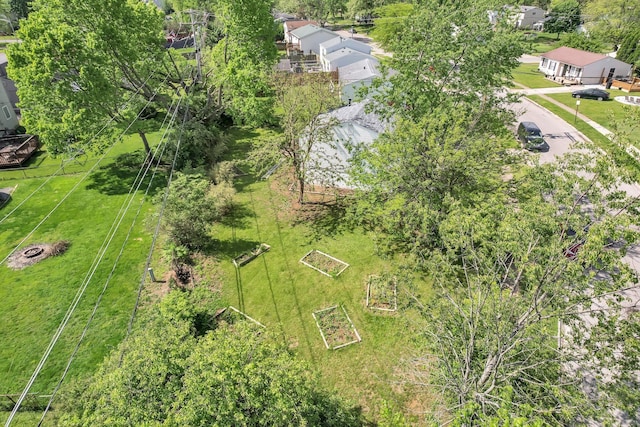 bird's eye view