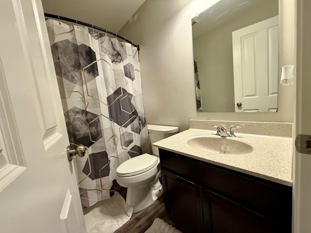 210 Glemsbury Dr, Delaware, OH 43015 - bathroom featuring vanity, toilet, wood finished floors, and a shower with curtain