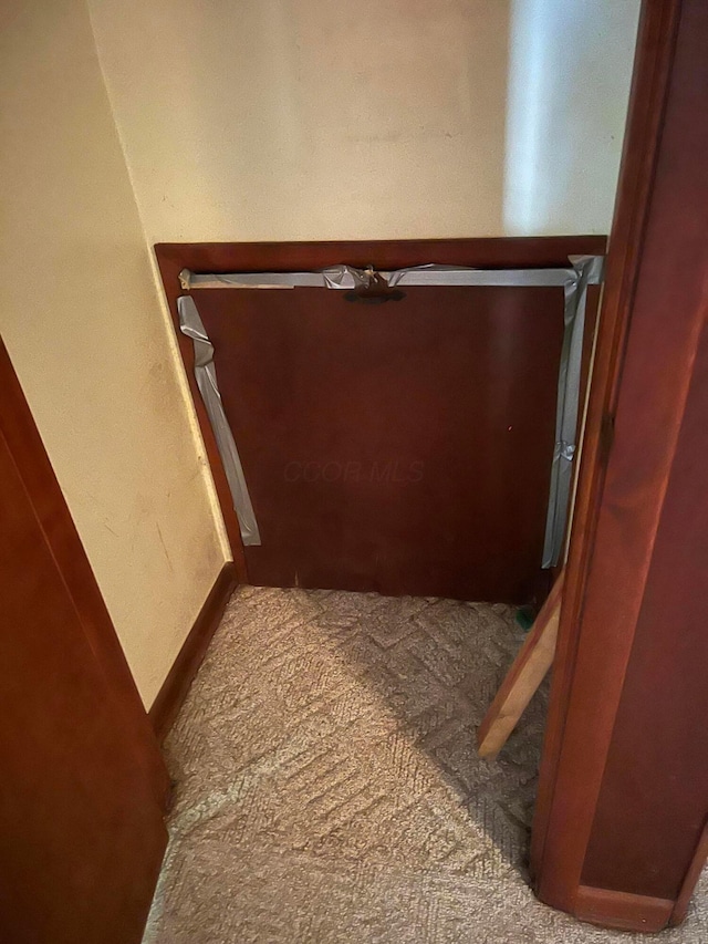 stairway featuring carpet floors