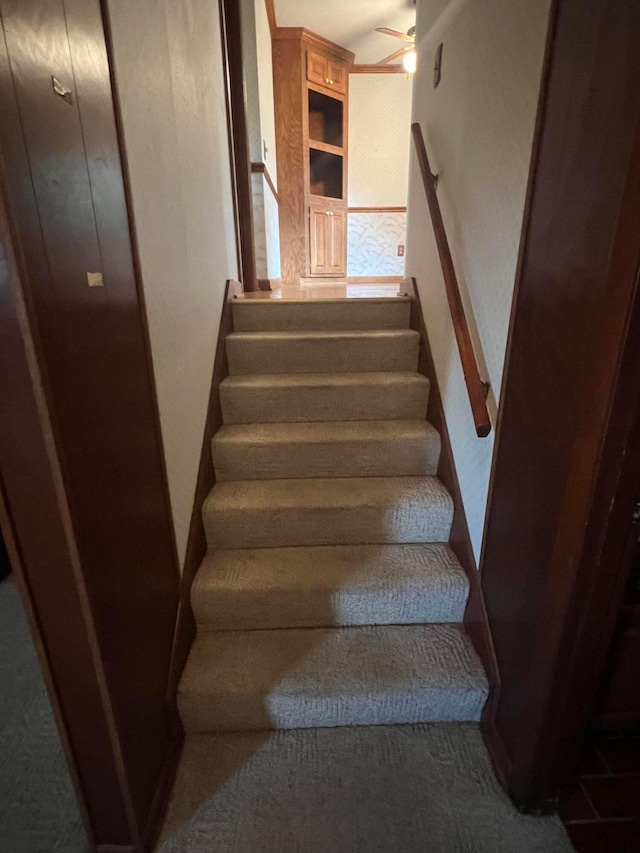 staircase with a ceiling fan and carpet flooring