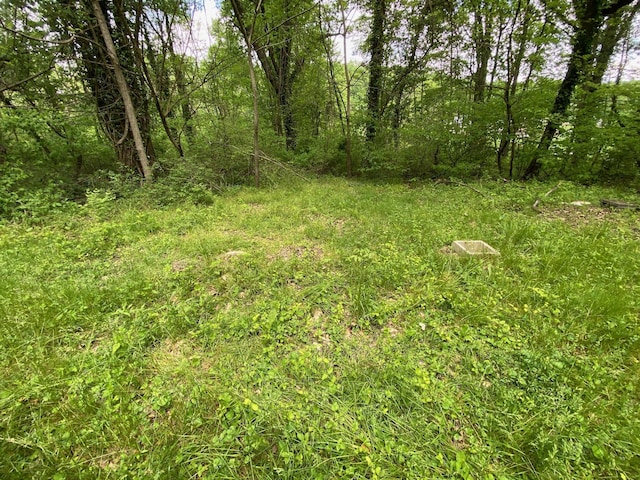 2615 Hamburg Rd SW, Lancaster, OH 43130 - view of undeveloped land