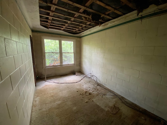 2615 Hamburg Rd SW, Lancaster, OH 43130 - empty room with concrete block wall
