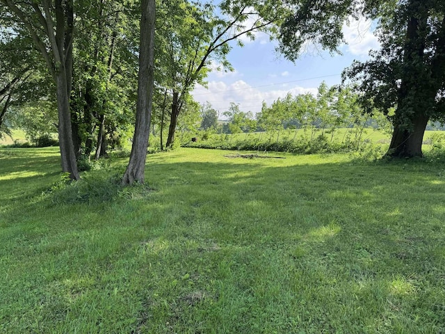 2187 State Route 550, Cutler, OH 45724 - photo 16