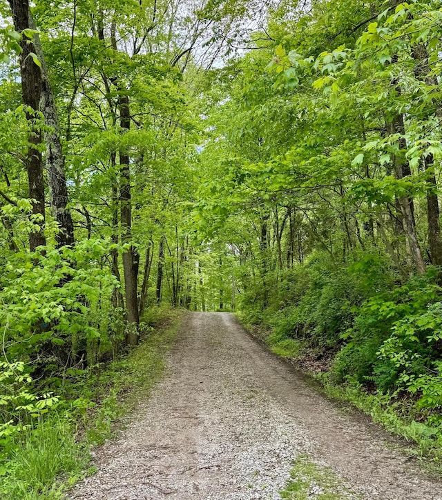 9966 Larimer Rd, Logan, OH 43138 - view of road with a forest view
