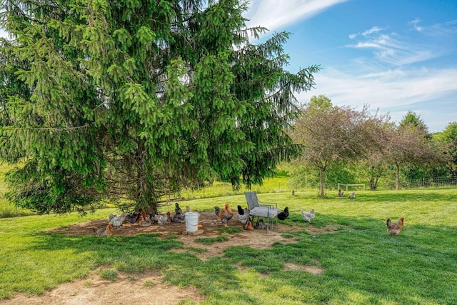 1899 Lamb Rd NW, Carroll, OH 43112 - view of green lawn