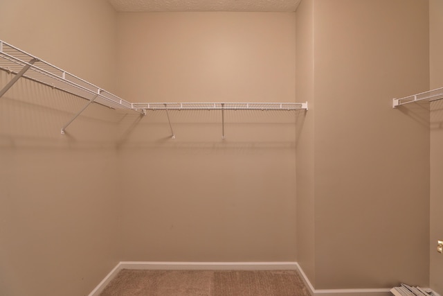 5988 Carnegie Cove Ct, Columbus, OH 43213 - spacious closet featuring carpet