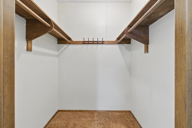 4726 Wendler Blvd, Columbus, OH 43230 - walk in closet featuring carpet flooring