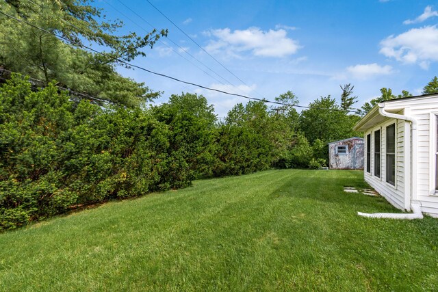 717 Birmingham Rd, Westerville, OH 43081 - view of green lawn