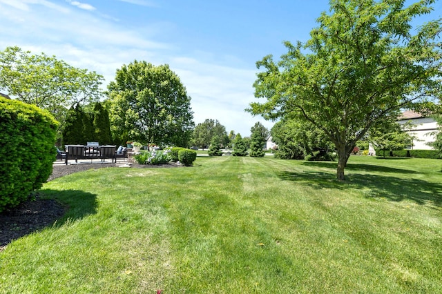 4008 Ryleland Ct, Powell, OH 43065 - view of grassy yard with a patio area