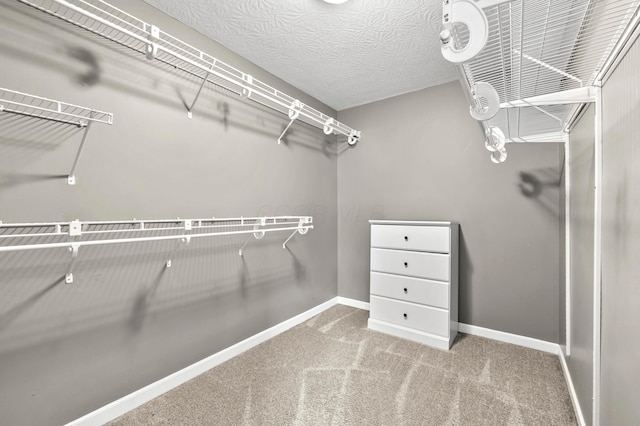 4008 Ryleland Ct, Powell, OH 43065 - walk in closet with carpet
