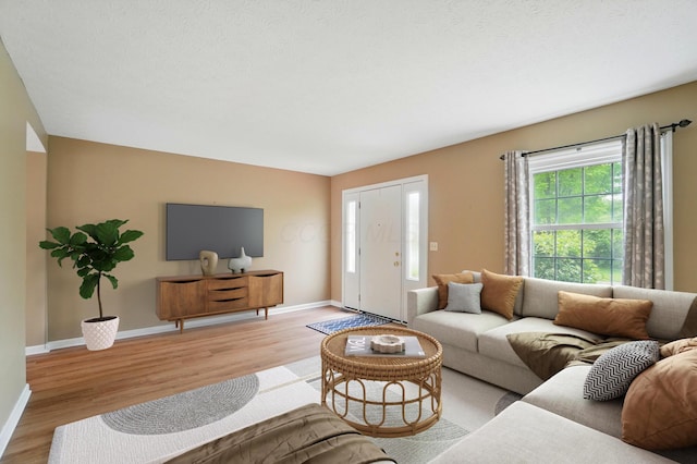 662 Pamlico St Unit Z7, Columbus, OH 43228 - living room featuring light wood-style floors and baseboards
