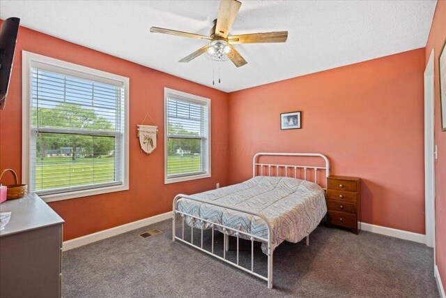 2460 N Court St, Circleville, OH 43113 - bedroom featuring baseboards, carpet, ceiling fan, and a textured ceiling