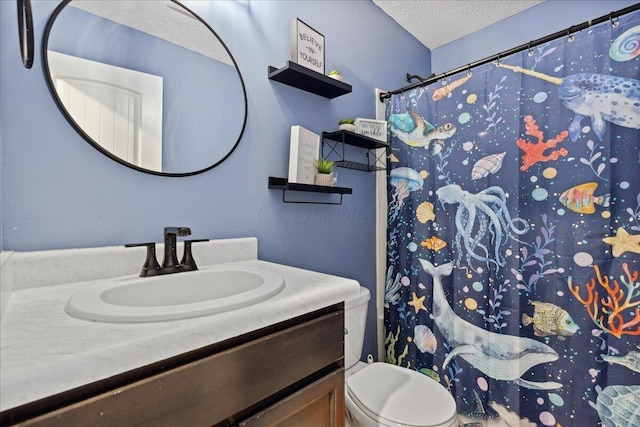 2460 N Court St, Circleville, OH 43113 - bathroom featuring vanity, a textured ceiling, toilet, and a shower with shower curtain
