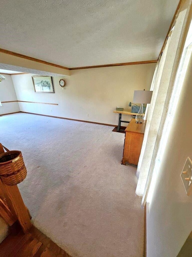 464 Highbanks Valley Dr, Newark, OH 43055 - unfurnished living room with crown molding, carpet, a textured ceiling, and baseboards