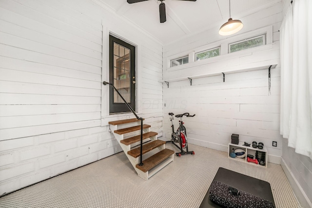 exercise room featuring carpet and ceiling fan