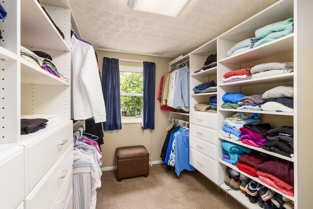3690 Christopher Pl, Grove City, OH 43123 - spacious closet featuring carpet flooring