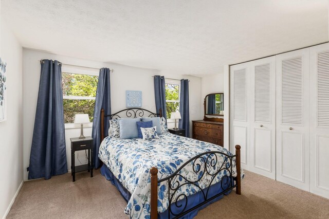 3690 Christopher Pl, Grove City, OH 43123 - bedroom with carpet floors, multiple windows, and a closet
