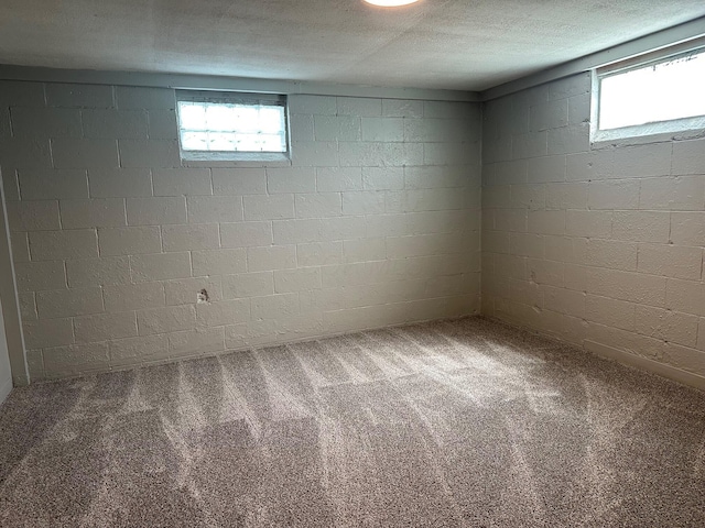 3128 Parsons Ave, Columbus, OH 43207 - basement featuring healthy amount of natural light and carpet