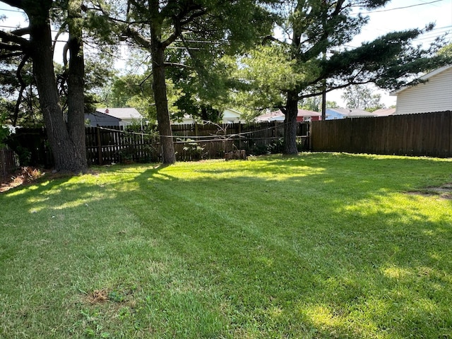 3128 Parsons Ave, Columbus, OH 43207 - view of yard
