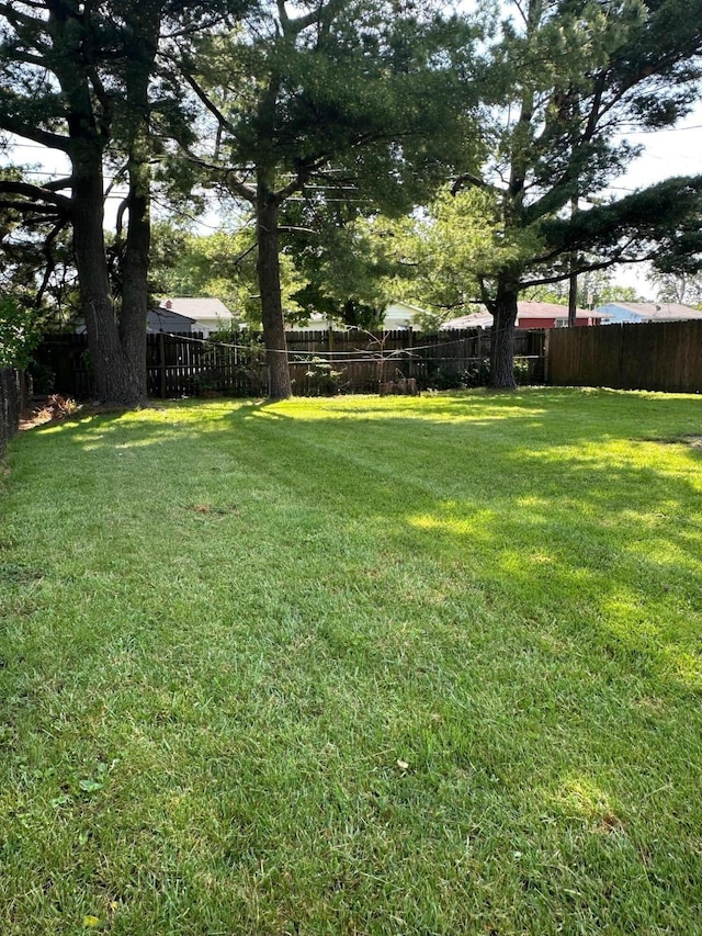 3128 Parsons Ave, Columbus, OH 43207 - view of yard