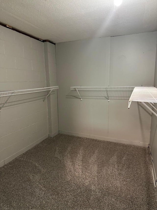 3128 Parsons Ave, Columbus, OH 43207 - walk in closet featuring carpet flooring