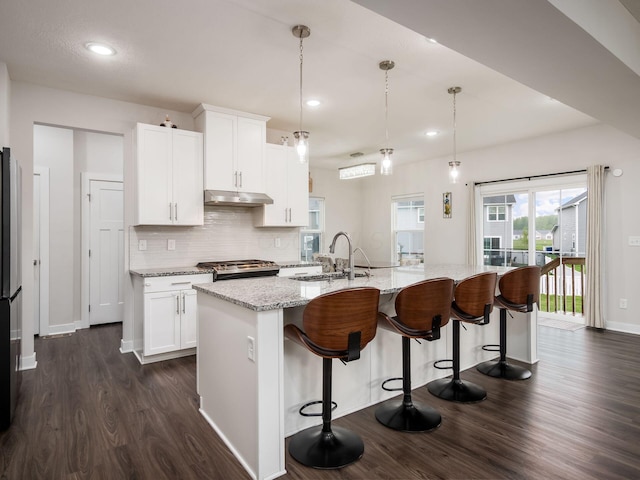 418 Amethyst Ct, Delaware, OH 43015 - kitchen featuring under cabinet range hood, dark wood finished floors, stainless steel appliances, a sink, and tasteful backsplash