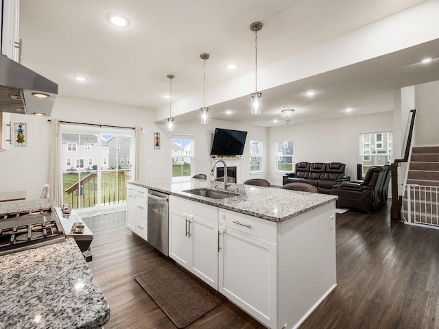 418 Amethyst Ct, Delaware, OH 43015 - kitchen with a sink, stainless steel dishwasher, dark wood-type flooring, recessed lighting, and exhaust hood