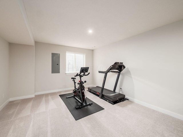 418 Amethyst Ct, Delaware, OH 43015 - exercise area featuring electric panel, carpet, and baseboards