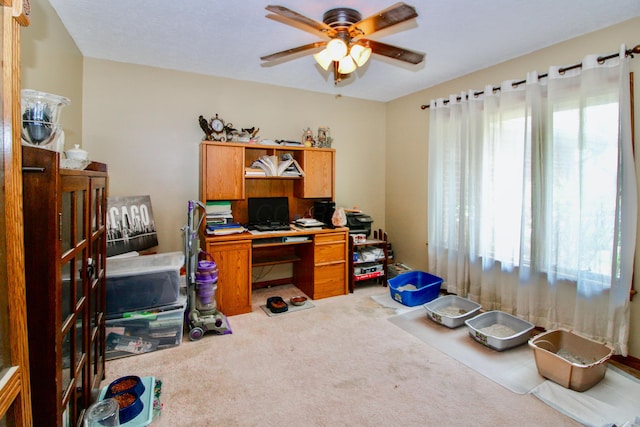 1320 Oakridge Dr, Bucyrus, OH 44820 - home office featuring carpet flooring and ceiling fan