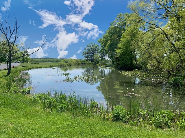 1 Shoreline Dr, Thornville, OH 43076 - photo 148