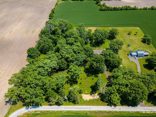 2814 Nesbitt Rd, Caledonia, OH 43314 - aerial view of sparsely populated area