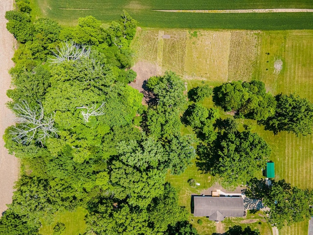 2814 Nesbitt Rd, Caledonia, OH 43314 - view of rural area