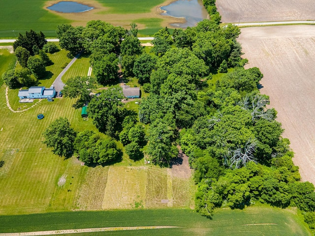 2814 Nesbitt Rd, Caledonia, OH 43314 - drone / aerial view of a large body of water