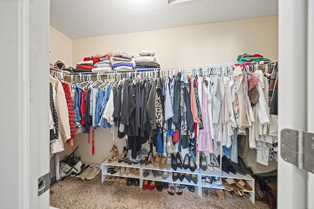 607 Green Forest Pl, Lithopolis, OH 43136 - walk in closet with carpet flooring