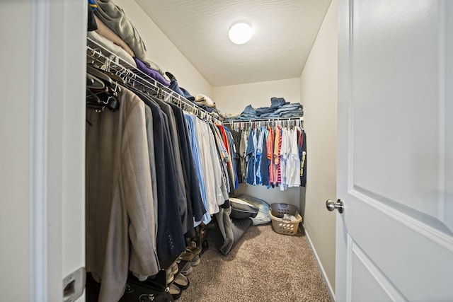 607 Green Forest Pl, Lithopolis, OH 43136 - walk in closet with carpet flooring
