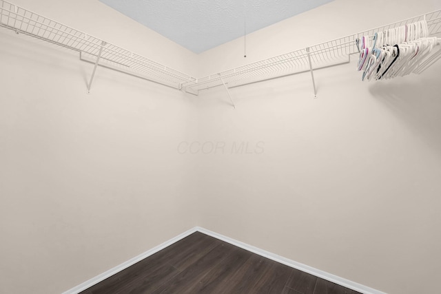 1235 Belle Meade Pl, Westerville, OH 43081 - spacious closet with dark wood finished floors