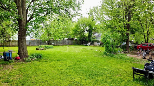 329 S Terrace Ave, Columbus, OH 43204 - view of yard