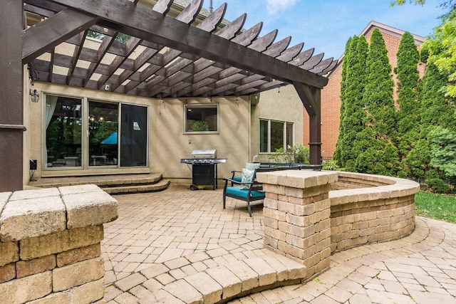 view of patio / terrace with a grill and a pergola