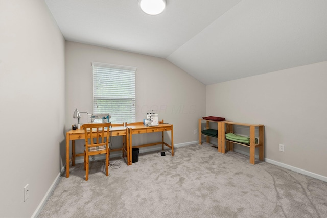 7309 Loch Dunne Pl, Dublin, OH 43016 - photo 36