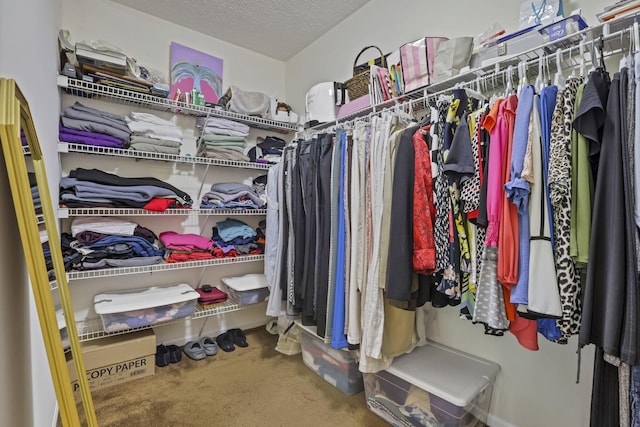 577 S Market St, Lithopolis, OH 43136 - walk in closet featuring carpet