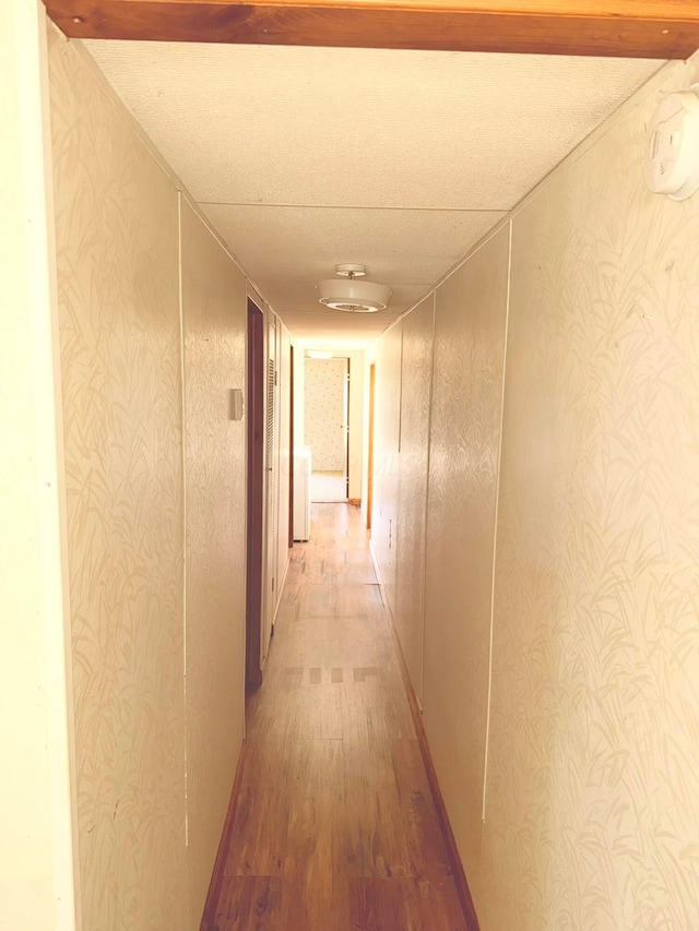 2785 Eckert Rd, Lexington, OH 44904 - hall featuring wood finished floors and wallpapered walls