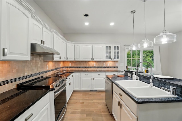 1940 Scioto Pointe Dr, Columbus, OH 43221 - kitchen featuring under cabinet range hood, appliances with stainless steel finishes, a sink, light wood-style floors, and white cabinets
