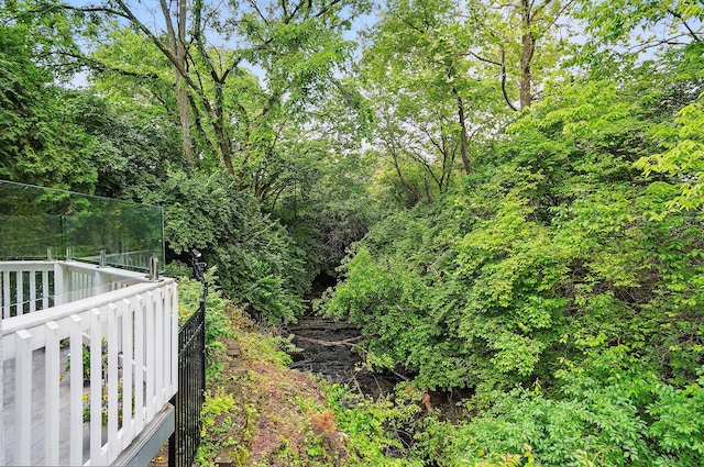 1940 Scioto Pointe Dr, Columbus, OH 43221 - view of yard