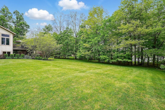 1092 George Allen Dr, South Vienna, OH 45369 - view of green lawn