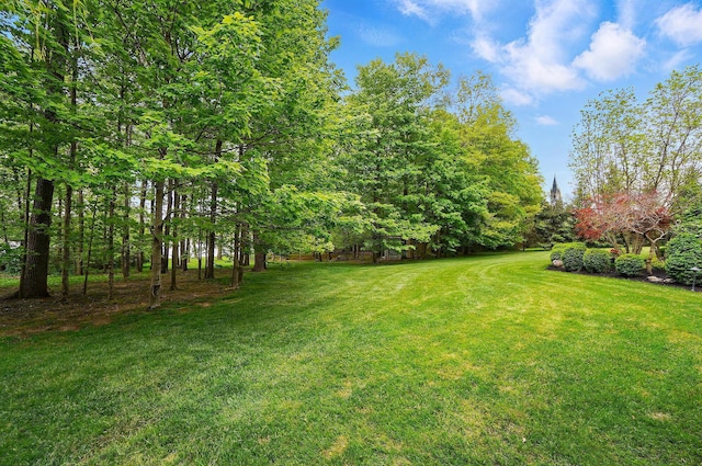 1092 George Allen Dr, South Vienna, OH 45369 - view of green lawn