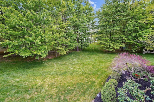 1092 George Allen Dr, South Vienna, OH 45369 - view of grassy yard